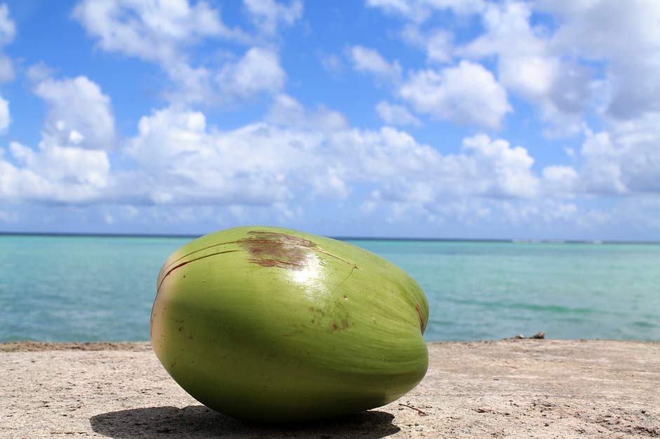 Ocean Sky Guam Coconut