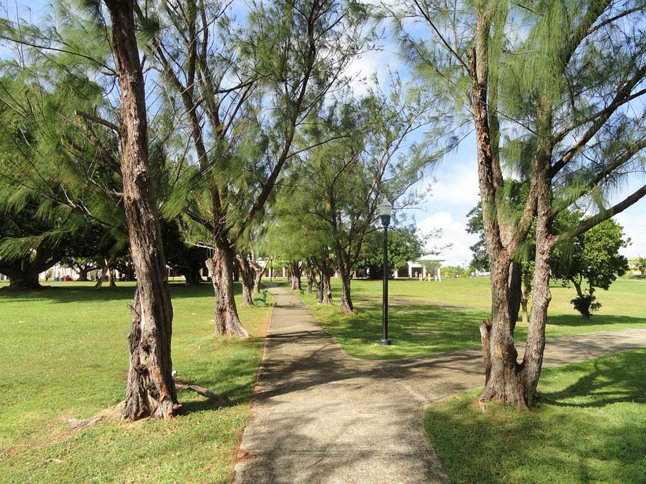 Outside Nature Campus Guam-University