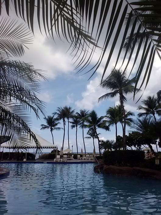 Palms Water Pool Swimming-Pool