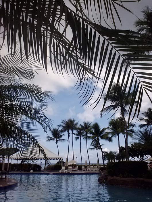 Palms Water Pool Swimming-Pool