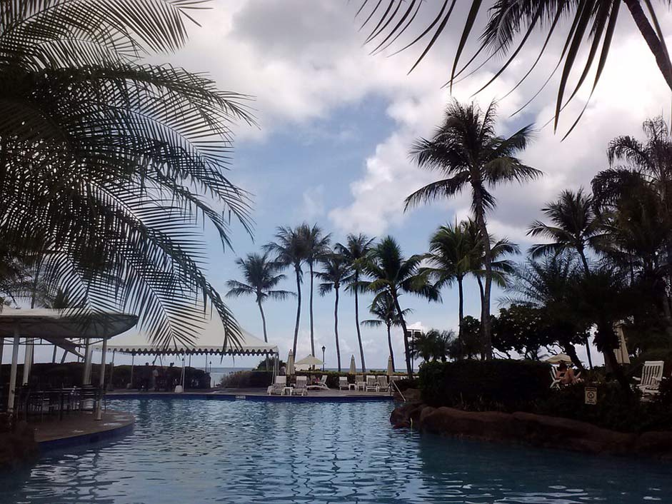 Palms Water Pool Swimming-Pool