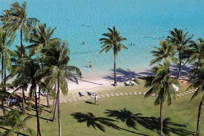 Sea Palm Guam Beach Picture