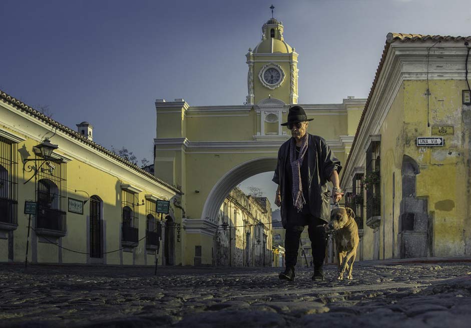 Dog Streets Guatemala Antiguaguatemala