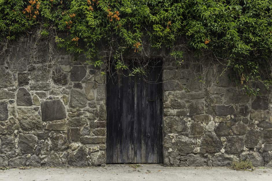 Old-Door Wood Ancient Doors