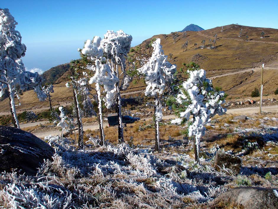 Frost Landscape Guatemala Ixchiguan