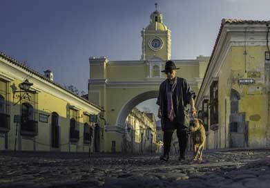 Antiguaguatemala Dog Streets Guatemala Picture