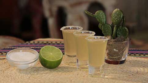 Cocktail Alcohol Drinks Mexico Picture