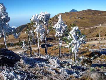 Ixchiguan Frost Landscape Guatemala Picture