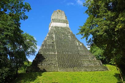 Tikal Rainforest Maya Pyramid Picture