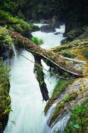 Nature Adventure Semucchampey Guatemala Picture