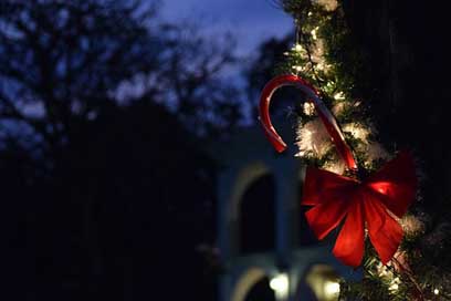 Christmas Ornaments Party Lights Picture