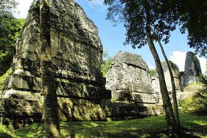 Guatemala Maya Petn Tikal Picture