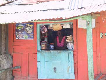 Shop Haiti Jungle Smaller-Download Picture
