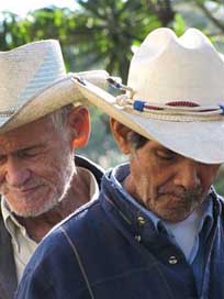Cowboys Men Western Honduras Picture