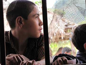 Honduras Boy Teenager Latin Picture