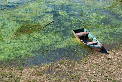 Nature Summer Water Boat Picture