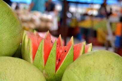 Watermelon  Honduras Tegucigalpa Picture