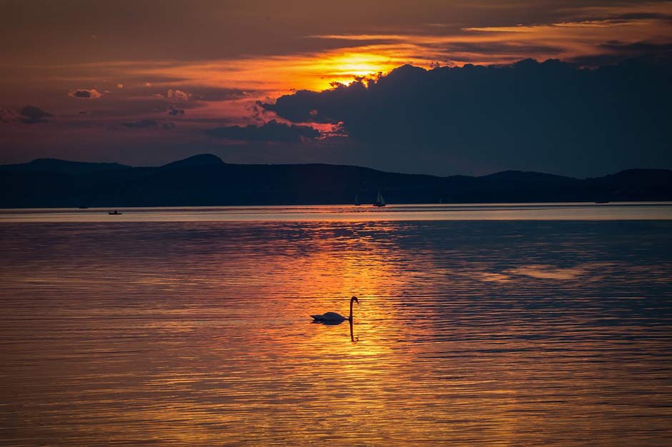 Lake Nature Sunset Lake-Balaton
