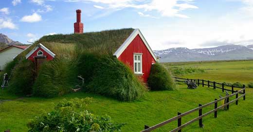 Iceland Grass Roofing Bordafjordur Picture
