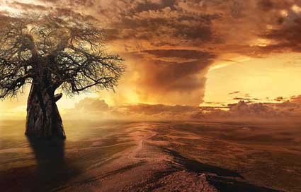 Fantasy Clouds Landscape Tree Picture