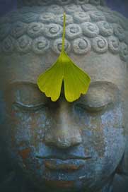 Buddha Stone-Figure Meditation Zen Picture