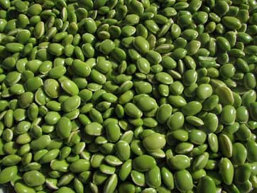 Beans Legumes Pulse Leguminous-Plants Picture