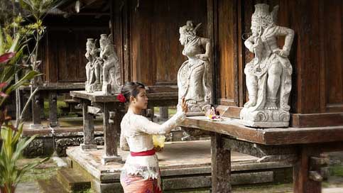 Indonesia Pray Woman Bali Picture