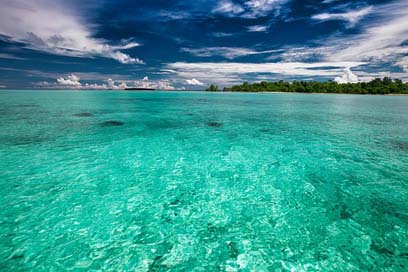 The-Shallow-Sea Transparency Kojima Tropical Picture