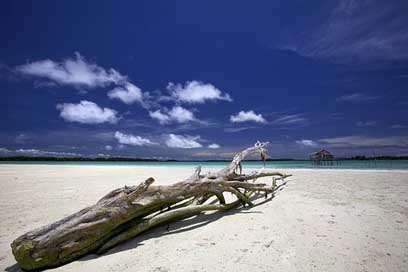 Landscape Widi-Islands Halmahera Indonesia Picture