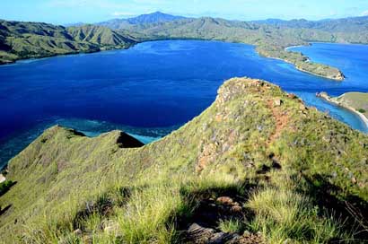 Komodo National Park View Picture