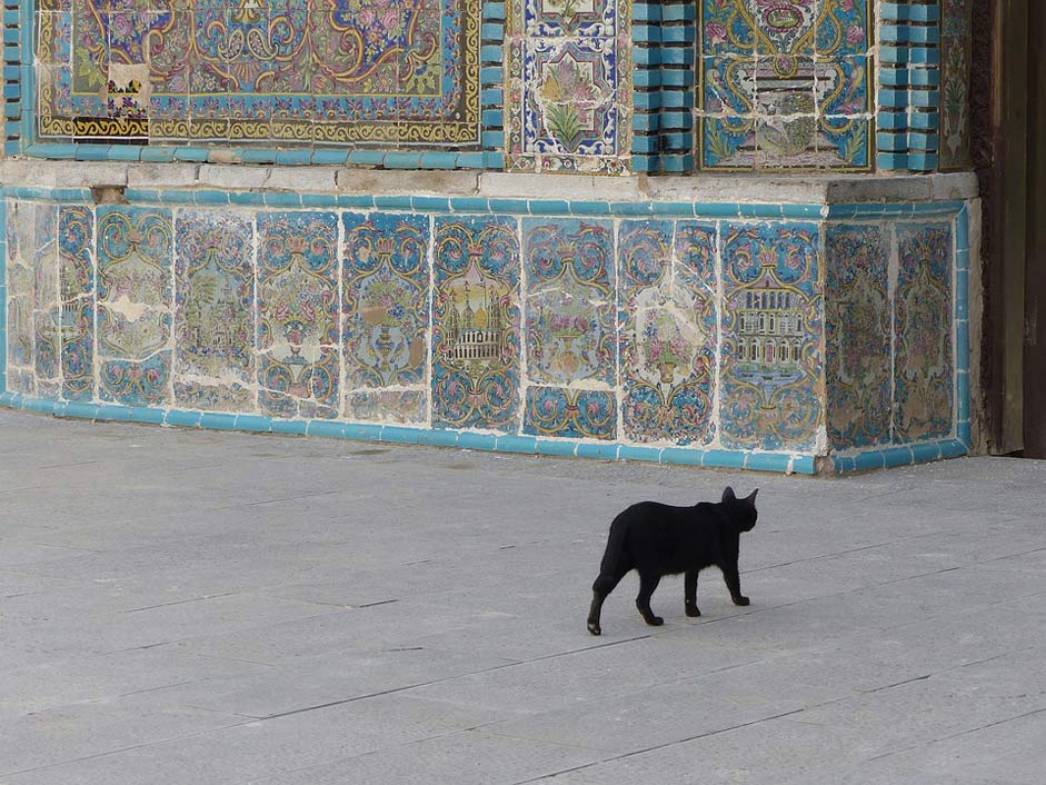 Tile Black Cat Iran