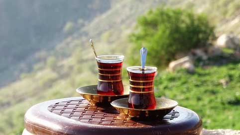 Kurdistan Mountain Tea Iraq Picture