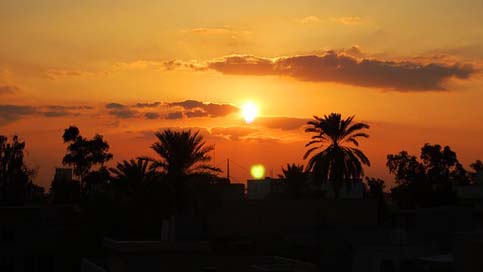 Sunset Iraq Palm-Trees Baghdad Picture