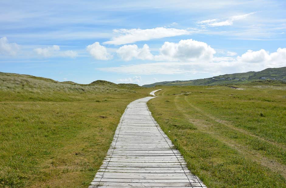 Nature Wood-Plank-Way Wooden-Track Away