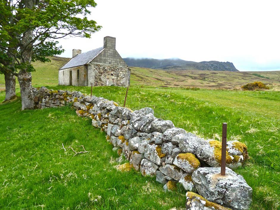 Nature Ireland Derelict Farmhouse