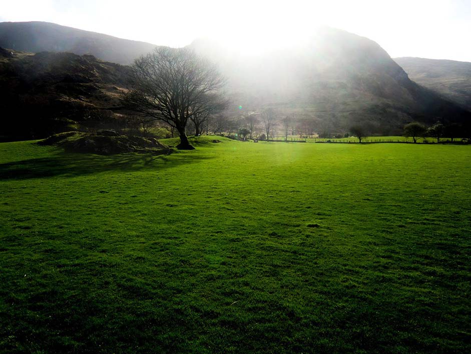 Mood Ireland Meadow Green
