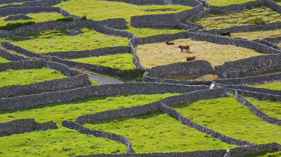 Inisheer Green Stone-Wall Ireland