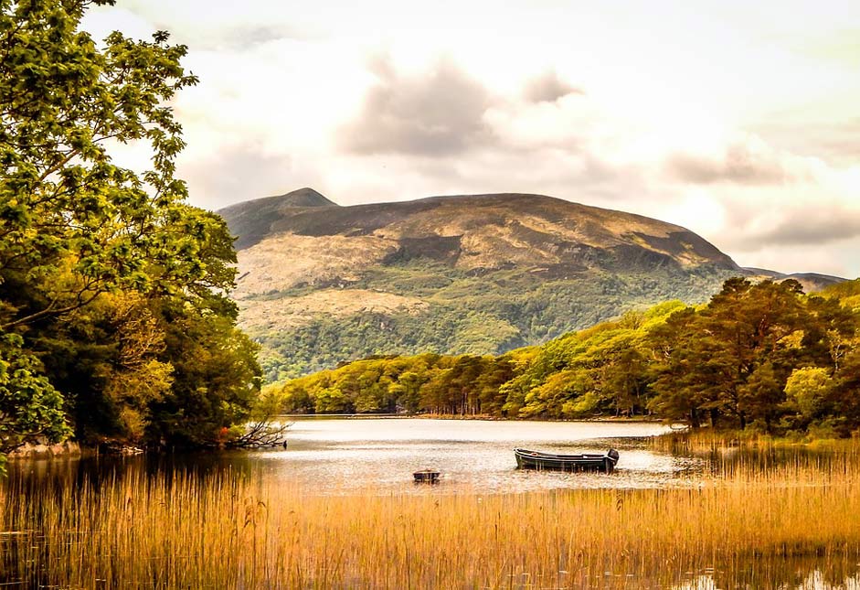 Nature Natur Landscape Lake