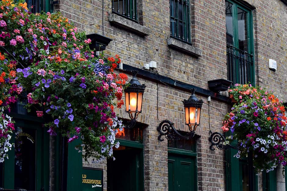 Floral-Splendor Ireland Dublin Pub