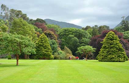 Park Lanschaftsgarten English-Garden Parklandschaft Picture