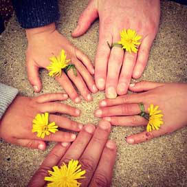 Family-Hand Family-Happy Ireland Outdoors Picture