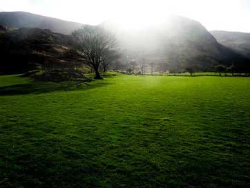 Green Mood Ireland Meadow Picture