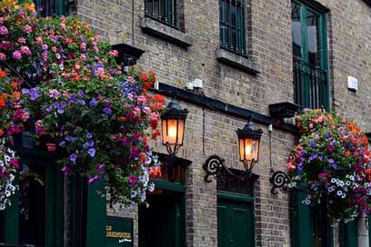 Pub Floral-Splendor Ireland Dublin Picture