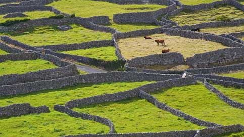 Ireland Inisheer Green Stone-Wall Picture