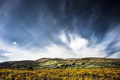 Tourmakeady Broom Landscape Ireland Picture