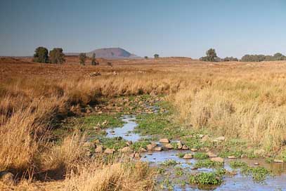 Golan-Heights Landscape Israel Field-And-Stream Picture