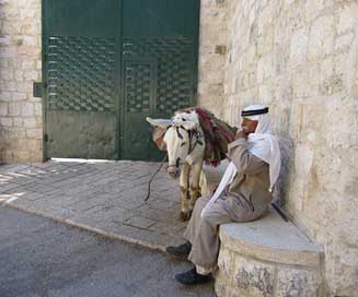 Bedouin Person Human Man Picture