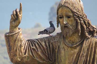 Israel Conversation Bird Jesus Picture