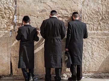 Western-Wall Pray Jews Jerusalem Picture
