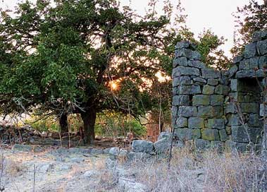 Ramtaniya Ruins Israel Golan-Heights Picture